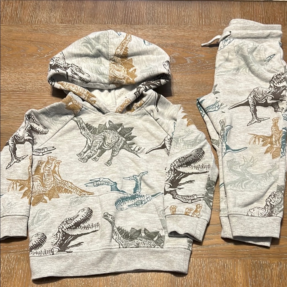 Wonder Nation Kids Dinosaur Matching Set - Gray and Brown